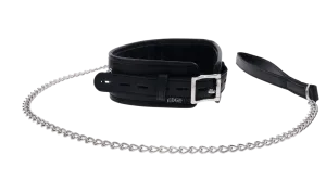 Sportsheets Edge Collar & Leash